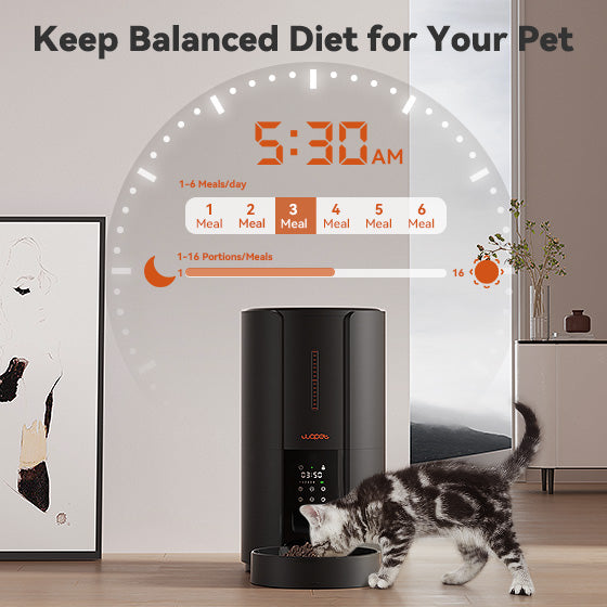 WOPET Automatic Cat Feeder