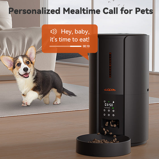 WOPET Automatic Cat Feeder