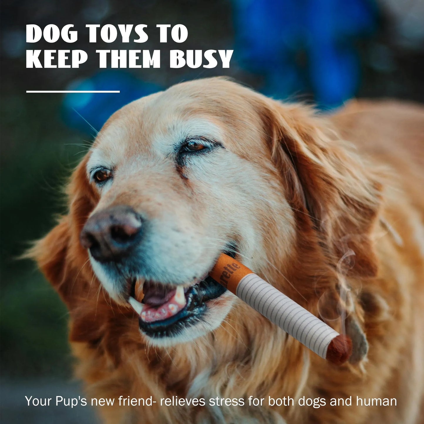 Petzy Cigarette Dog Toy